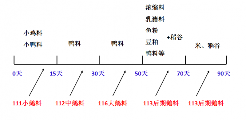 全程3
