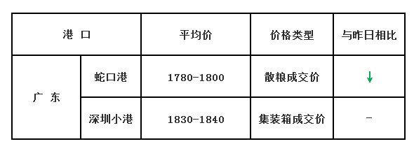 玉米10.12