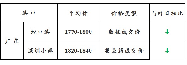 玉米10.13