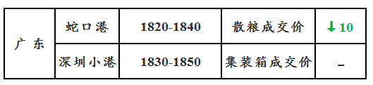 玉米10.30