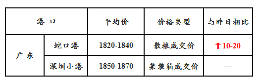 玉米11.13