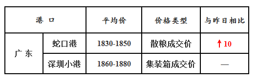 玉米11.15