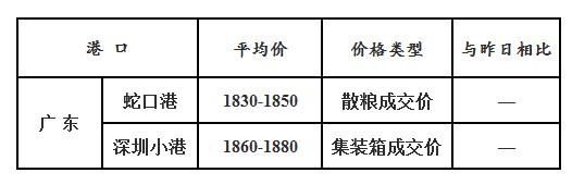 玉米11.20
