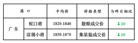 玉米11.21