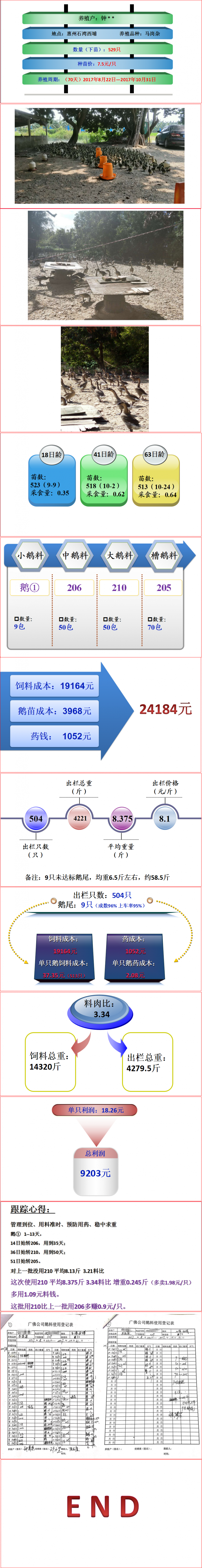 钟健康