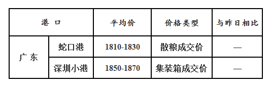 玉米11.24