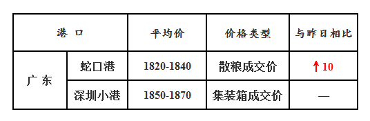 玉米11.30