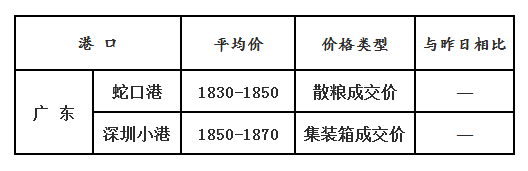 玉米12.4
