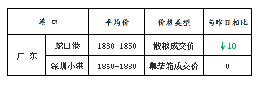 玉米12.8