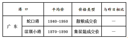 玉米12.19