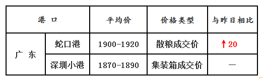 玉米12.21