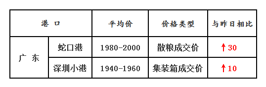 玉米1.8