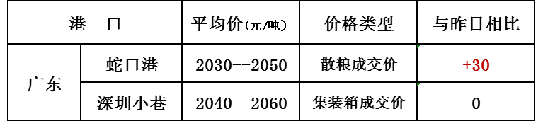 3.19玉米价