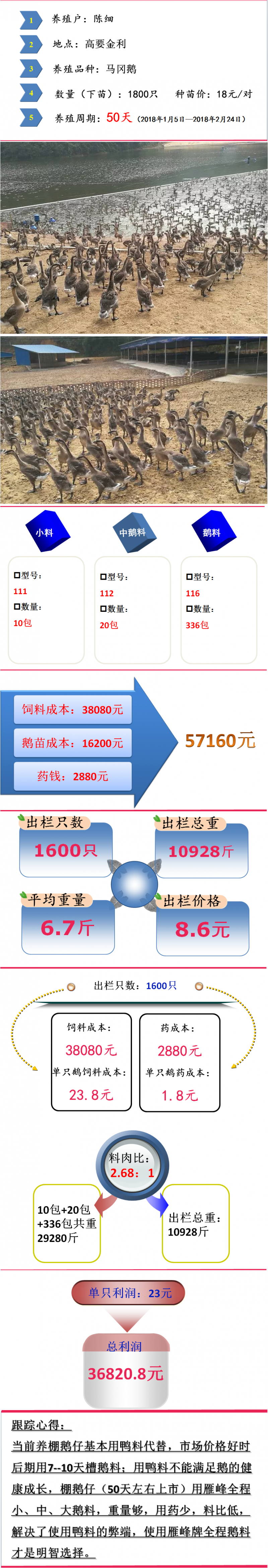 陈老板案例分析截图