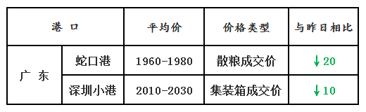 玉米4.2