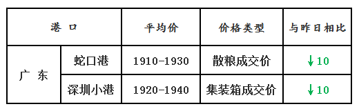 玉米4.16