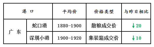 玉米4.23