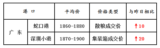 玉米5.22