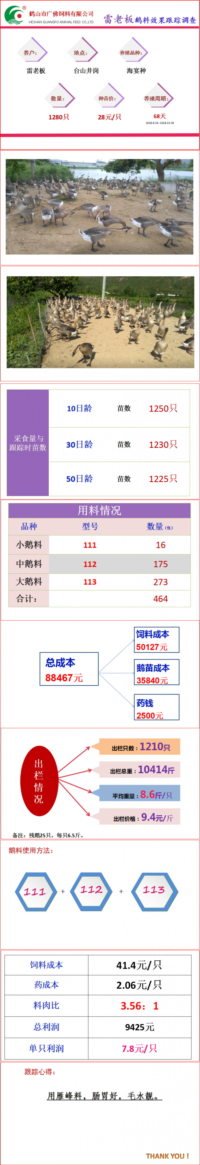 发鹅网--雷振锐养殖案例分享