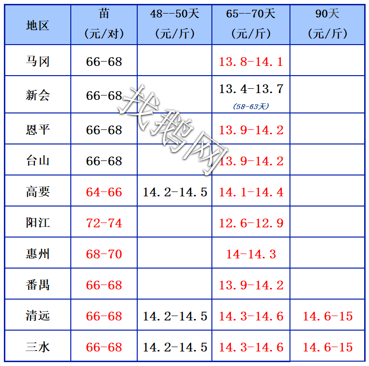 鹅网