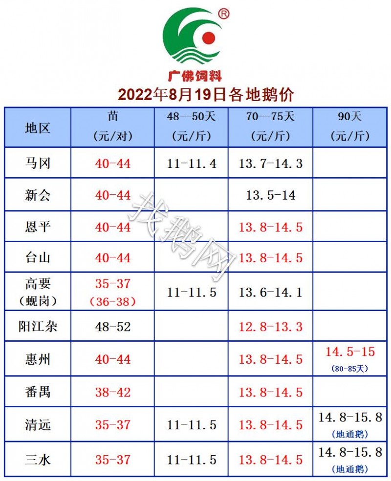 8.19