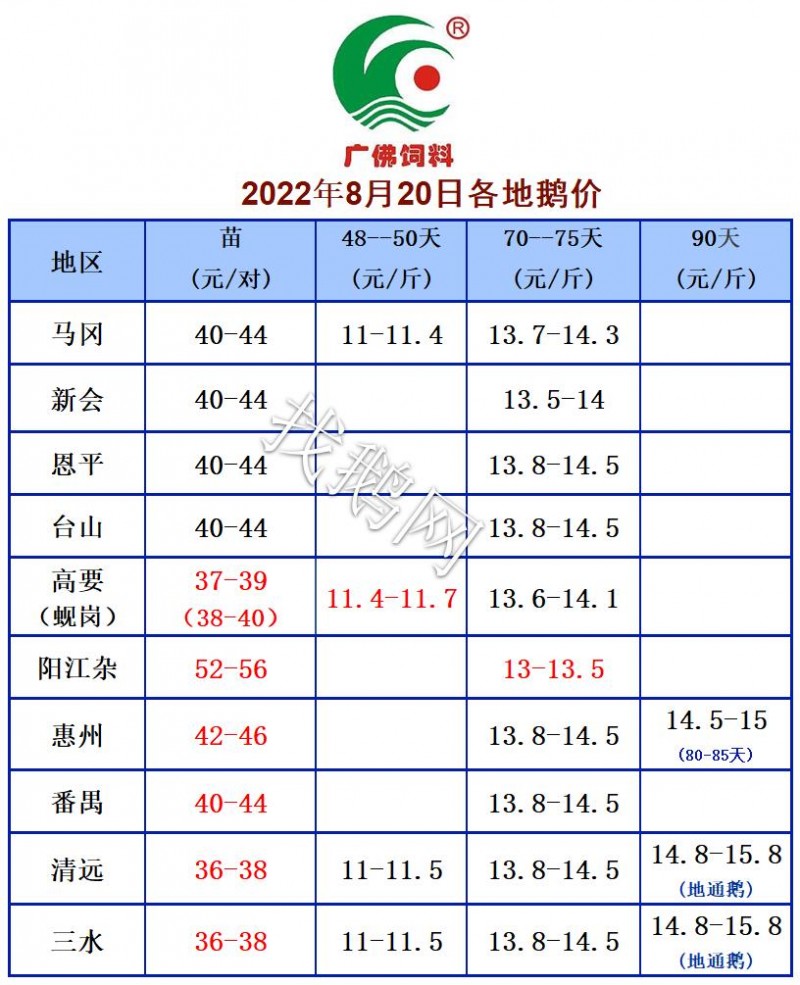 8.20