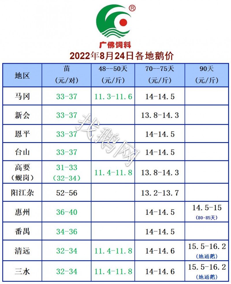 8.24